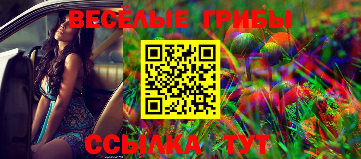 Галлюциногенные грибы Cubensis Новотроицк